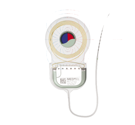 Top2 Removebg Preview