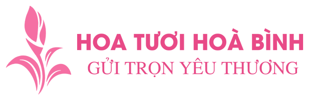 Hoa Tươi Hoà Bình